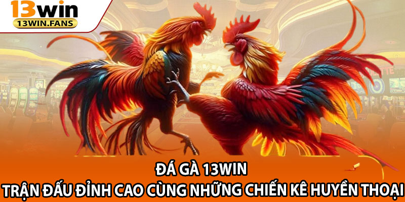 Da Ga 13win – Tran Dau Dinh Cao Cung Nhung Chien Ke Huyen Thoai